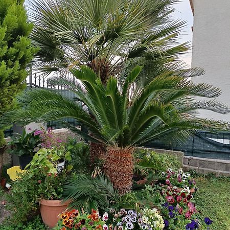 Bed And Breakfast Angolo Fiorito Civitavecchia Eksteriør bilde