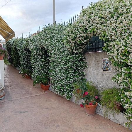 Bed And Breakfast Angolo Fiorito Civitavecchia Eksteriør bilde