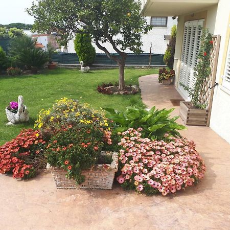 Bed And Breakfast Angolo Fiorito Civitavecchia Eksteriør bilde