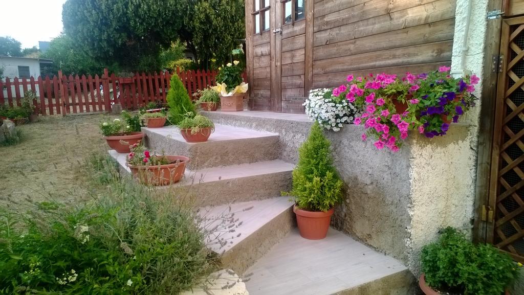 Bed And Breakfast Angolo Fiorito Civitavecchia Eksteriør bilde