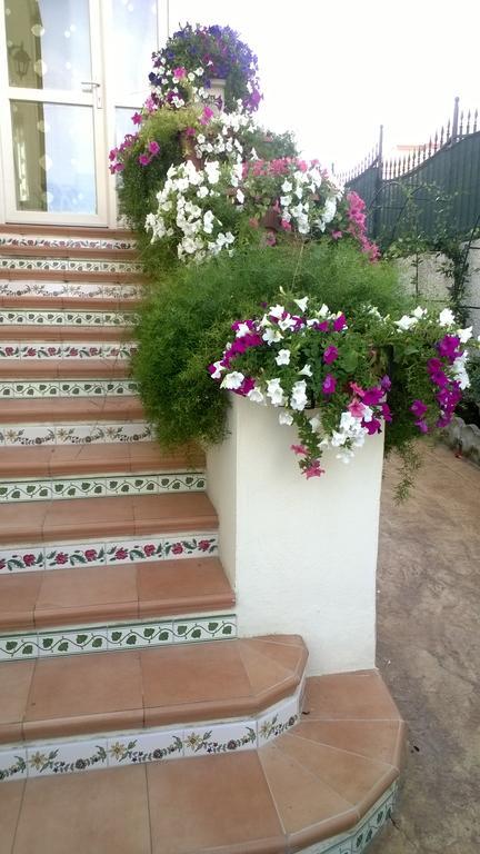 Bed And Breakfast Angolo Fiorito Civitavecchia Eksteriør bilde