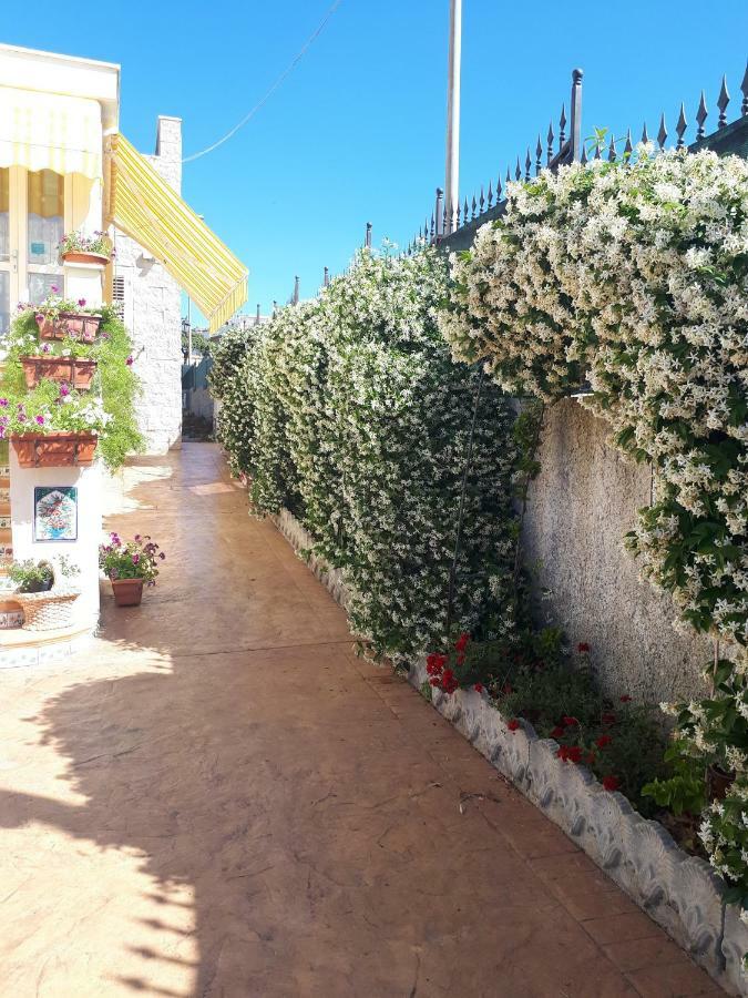 Bed And Breakfast Angolo Fiorito Civitavecchia Eksteriør bilde