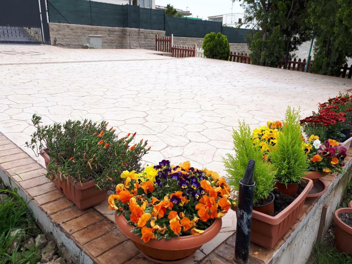 Bed And Breakfast Angolo Fiorito Civitavecchia Eksteriør bilde